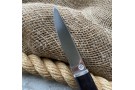 Kitchen knife made of cast bulat Nestling (hornbeam)