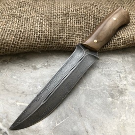 Carving knife made of cast bulat R014 (walnut tree)