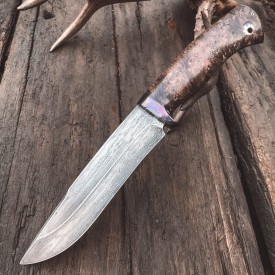 Carving knife made of cast bulat R015 (timasus,stabilzed wood)